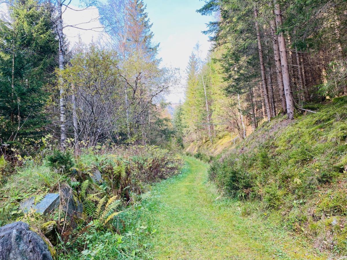 Appartement Rosa Patergassen Kültér fotó